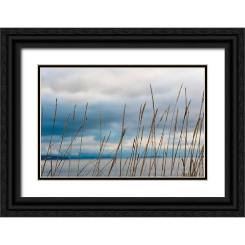 Whidbey Grass II Black Ornate Wood Framed Art Print with Double Matting by Berzel, Erin