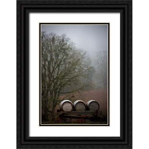 Oregon Wine Country I Black Ornate Wood Framed Art Print with Double Matting by Berzel, Erin