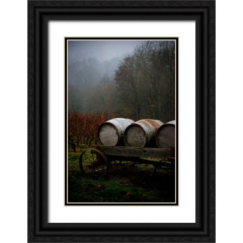 Oregon Wine Country II Black Ornate Wood Framed Art Print with Double Matting by Berzel, Erin