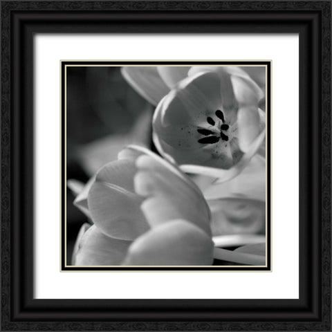 BW Tulips I Black Ornate Wood Framed Art Print with Double Matting by Berzel, Erin