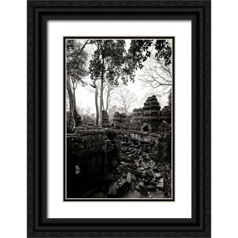Ancient Ta Prohm IV Black Ornate Wood Framed Art Print with Double Matting by Berzel, Erin