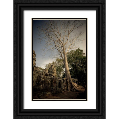 Silk Cotton Tree Black Ornate Wood Framed Art Print with Double Matting by Berzel, Erin