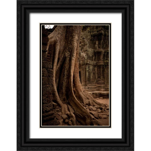Roots and Ruins I Black Ornate Wood Framed Art Print with Double Matting by Berzel, Erin