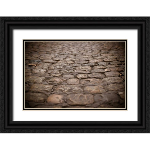 Stone Path I Black Ornate Wood Framed Art Print with Double Matting by Berzel, Erin