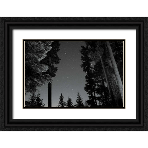 BW Starry Night I Black Ornate Wood Framed Art Print with Double Matting by Berzel, Erin