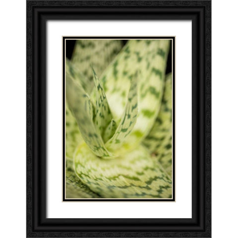 Green and White II Black Ornate Wood Framed Art Print with Double Matting by Berzel, Erin