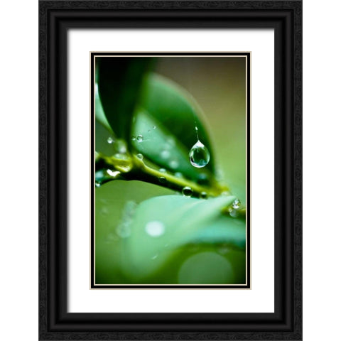 Suspended Dew I Black Ornate Wood Framed Art Print with Double Matting by Berzel, Erin
