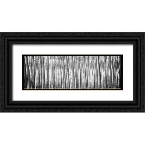 Pacific Albus BW I Black Ornate Wood Framed Art Print with Double Matting by Berzel, Erin