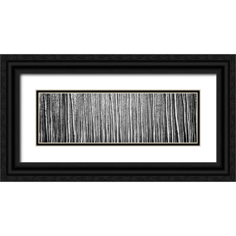 Pacific Albus BW II Black Ornate Wood Framed Art Print with Double Matting by Berzel, Erin