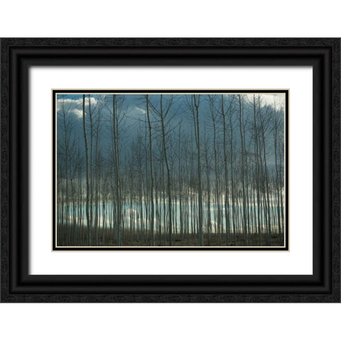 Pacific Albus and Clouds I Black Ornate Wood Framed Art Print with Double Matting by Berzel, Erin