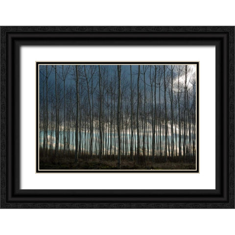 Pacific Albus and Clouds II Black Ornate Wood Framed Art Print with Double Matting by Berzel, Erin