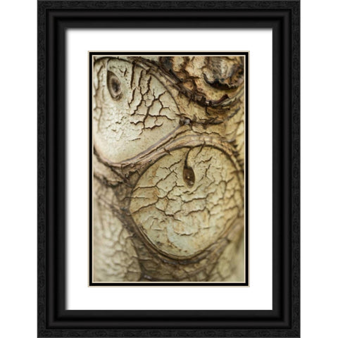 Bark Detail Black Ornate Wood Framed Art Print with Double Matting by Berzel, Erin