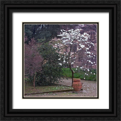Garden Glimpse I Black Ornate Wood Framed Art Print with Double Matting by Crane, Rita