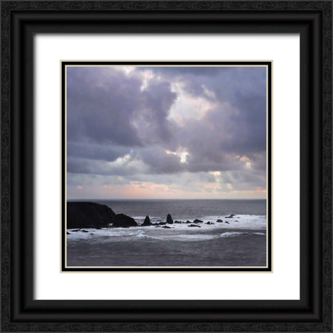 After the Storm Black Ornate Wood Framed Art Print with Double Matting by Crane, Rita