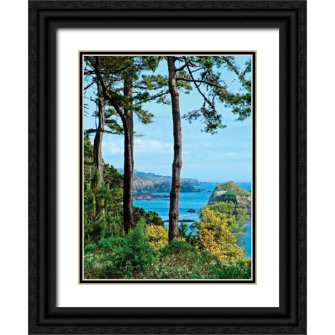 Sunny Afternoon Black Ornate Wood Framed Art Print with Double Matting by Crane, Rita