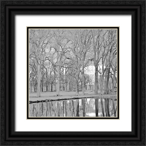 Along the Canal Black Ornate Wood Framed Art Print with Double Matting by Crane, Rita