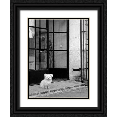 Little Dog V Black Ornate Wood Framed Art Print with Double Matting by Crane, Rita