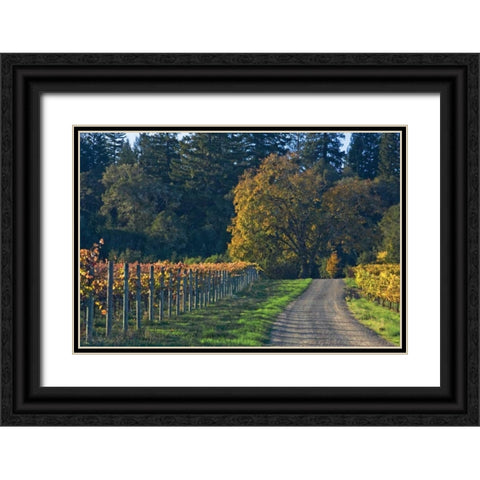 After the Harvest I Black Ornate Wood Framed Art Print with Double Matting by Crane, Rita