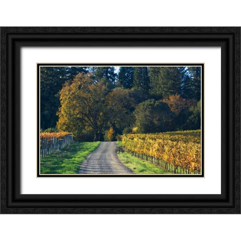 After the Harvest II Black Ornate Wood Framed Art Print with Double Matting by Crane, Rita
