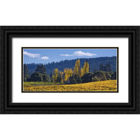 Autumn Gold I Black Ornate Wood Framed Art Print with Double Matting by Crane, Rita