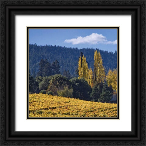 Autumn Gold II Black Ornate Wood Framed Art Print with Double Matting by Crane, Rita