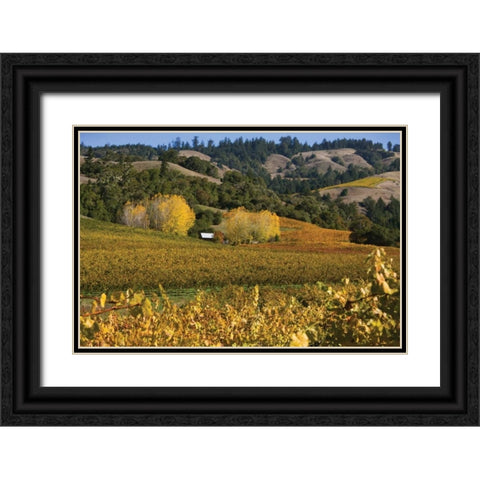 Barns and Vineyards II Black Ornate Wood Framed Art Print with Double Matting by Crane, Rita