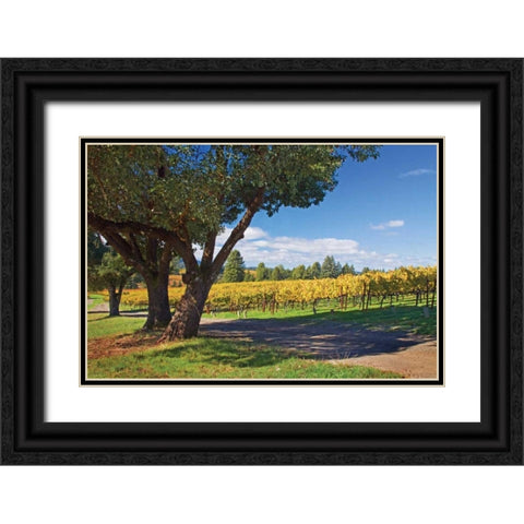 Oak and Vine IV Black Ornate Wood Framed Art Print with Double Matting by Crane, Rita