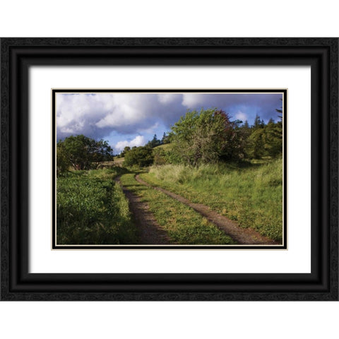 In the Country I Black Ornate Wood Framed Art Print with Double Matting by Crane, Rita