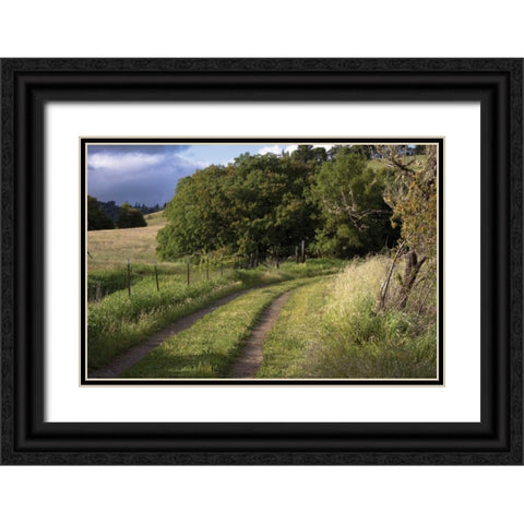 In the Country II Black Ornate Wood Framed Art Print with Double Matting by Crane, Rita