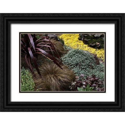 Garden Glimpse IV Black Ornate Wood Framed Art Print with Double Matting by Crane, Rita