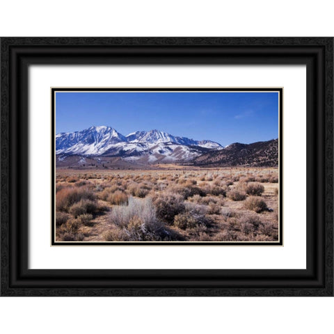 Eastern Sierra I Black Ornate Wood Framed Art Print with Double Matting by Crane, Rita