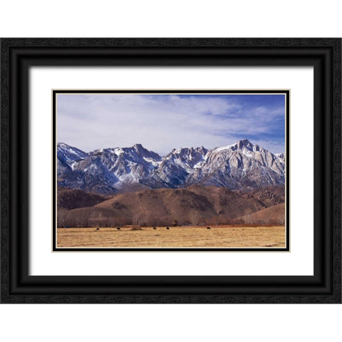Mt. Whitney Range II Black Ornate Wood Framed Art Print with Double Matting by Crane, Rita