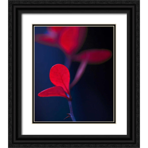 Dancing Blue and Red I Black Ornate Wood Framed Art Print with Double Matting by Crane, Rita