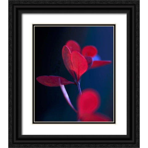 Dancing Blue and Red II Black Ornate Wood Framed Art Print with Double Matting by Crane, Rita