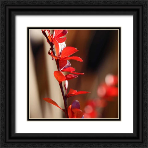 Red Leaves I Black Ornate Wood Framed Art Print with Double Matting by Crane, Rita