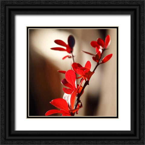 Red Leaves II Black Ornate Wood Framed Art Print with Double Matting by Crane, Rita