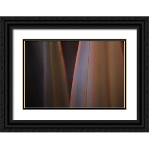 Leaves With Red I Black Ornate Wood Framed Art Print with Double Matting by Crane, Rita