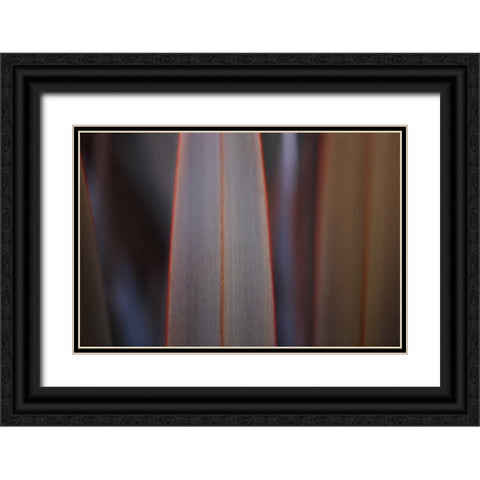 Leaves With Red II Black Ornate Wood Framed Art Print with Double Matting by Crane, Rita