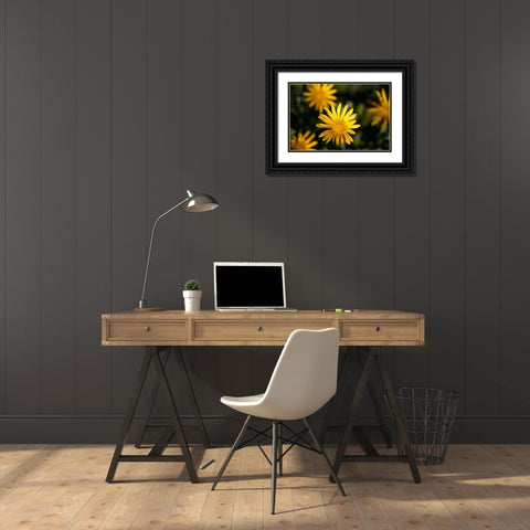 Celebration I Black Ornate Wood Framed Art Print with Double Matting by Crane, Rita