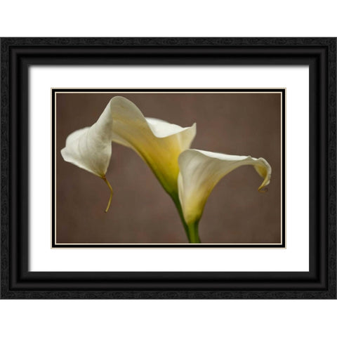 Calla Elegance I Black Ornate Wood Framed Art Print with Double Matting by Crane, Rita