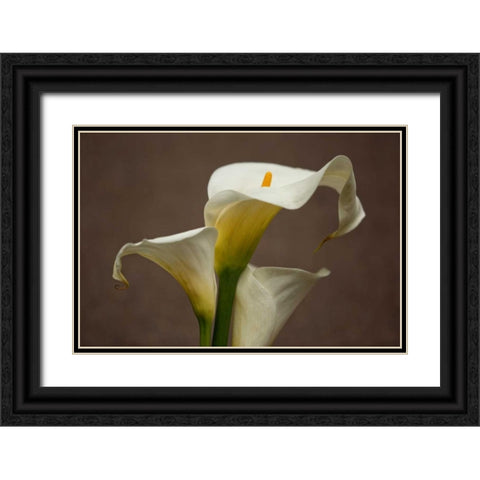 Calla Elegance II Black Ornate Wood Framed Art Print with Double Matting by Crane, Rita