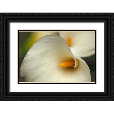 Calla Lilies I Black Ornate Wood Framed Art Print with Double Matting by Crane, Rita