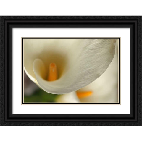 Calla Lilies II Black Ornate Wood Framed Art Print with Double Matting by Crane, Rita