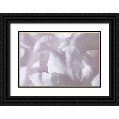 Rosy Petals II Black Ornate Wood Framed Art Print with Double Matting by Crane, Rita