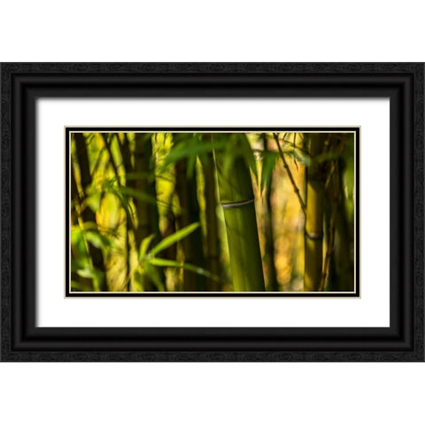 Bamboo Afternoon I Black Ornate Wood Framed Art Print with Double Matting by Crane, Rita