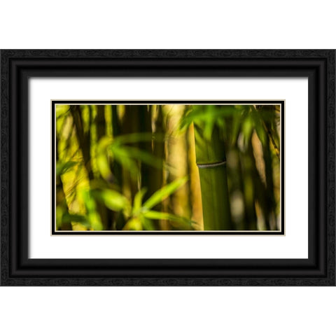 Bamboo Afternoon II Black Ornate Wood Framed Art Print with Double Matting by Crane, Rita