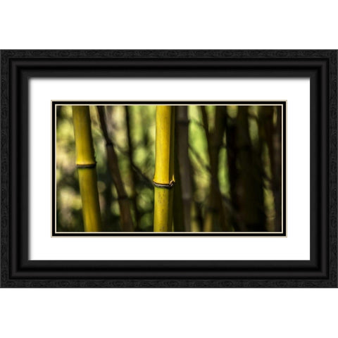 Bamboo Afternoon III Black Ornate Wood Framed Art Print with Double Matting by Crane, Rita