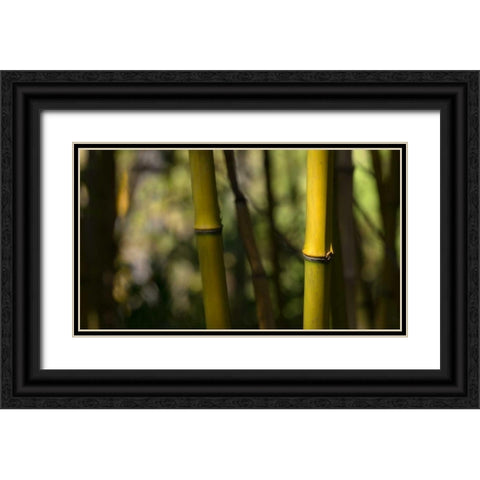 Bamboo Afternoon IV Black Ornate Wood Framed Art Print with Double Matting by Crane, Rita