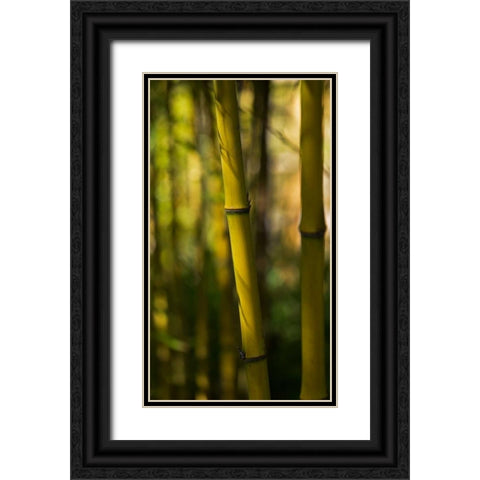 Bamboo Afternoon VII Black Ornate Wood Framed Art Print with Double Matting by Crane, Rita