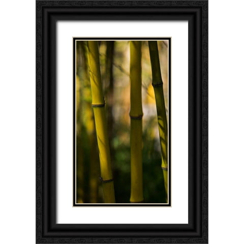 Bamboo Afternoon VIII Black Ornate Wood Framed Art Print with Double Matting by Crane, Rita